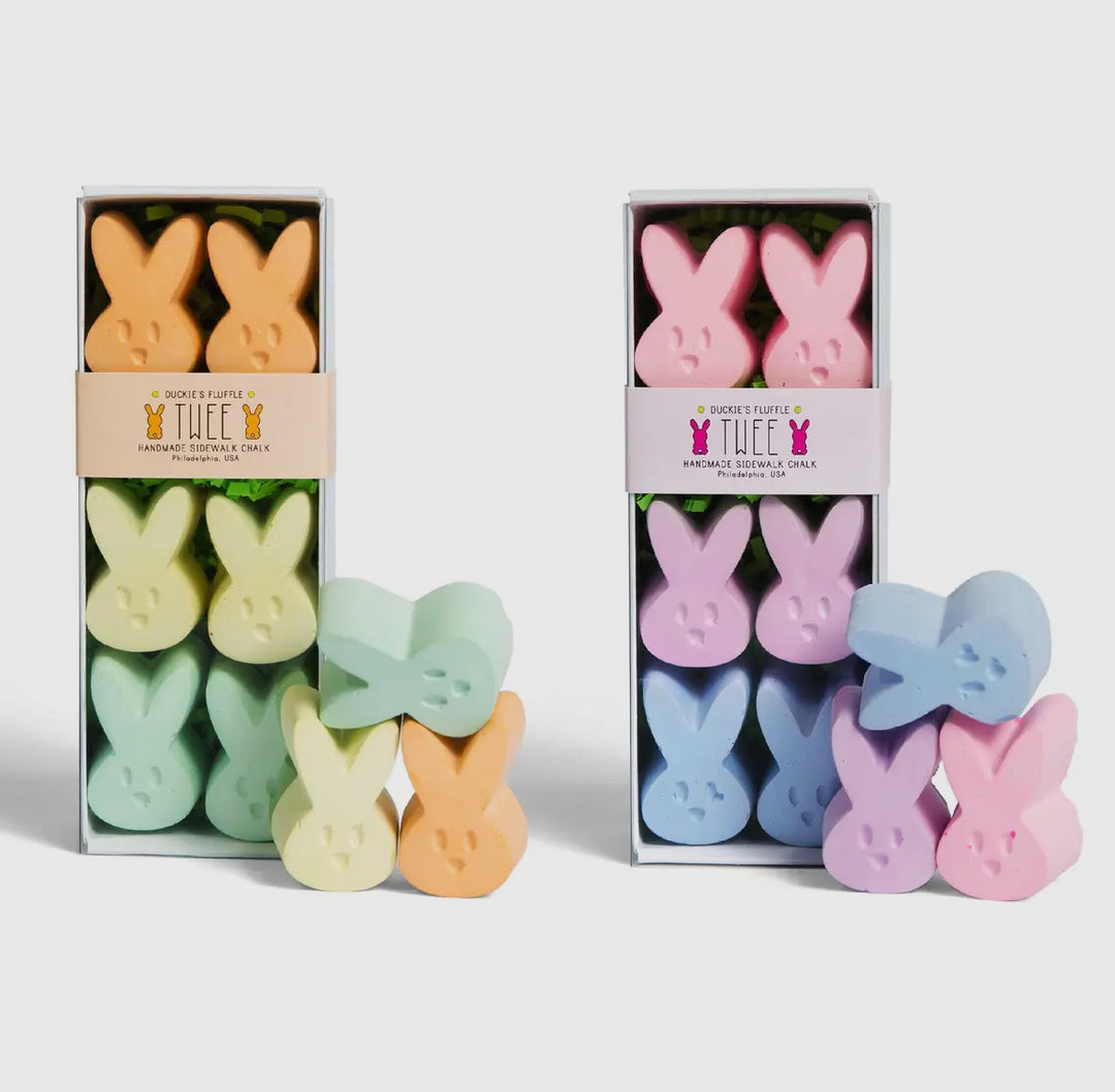 Handmade Bunny Sidewalk Chalk