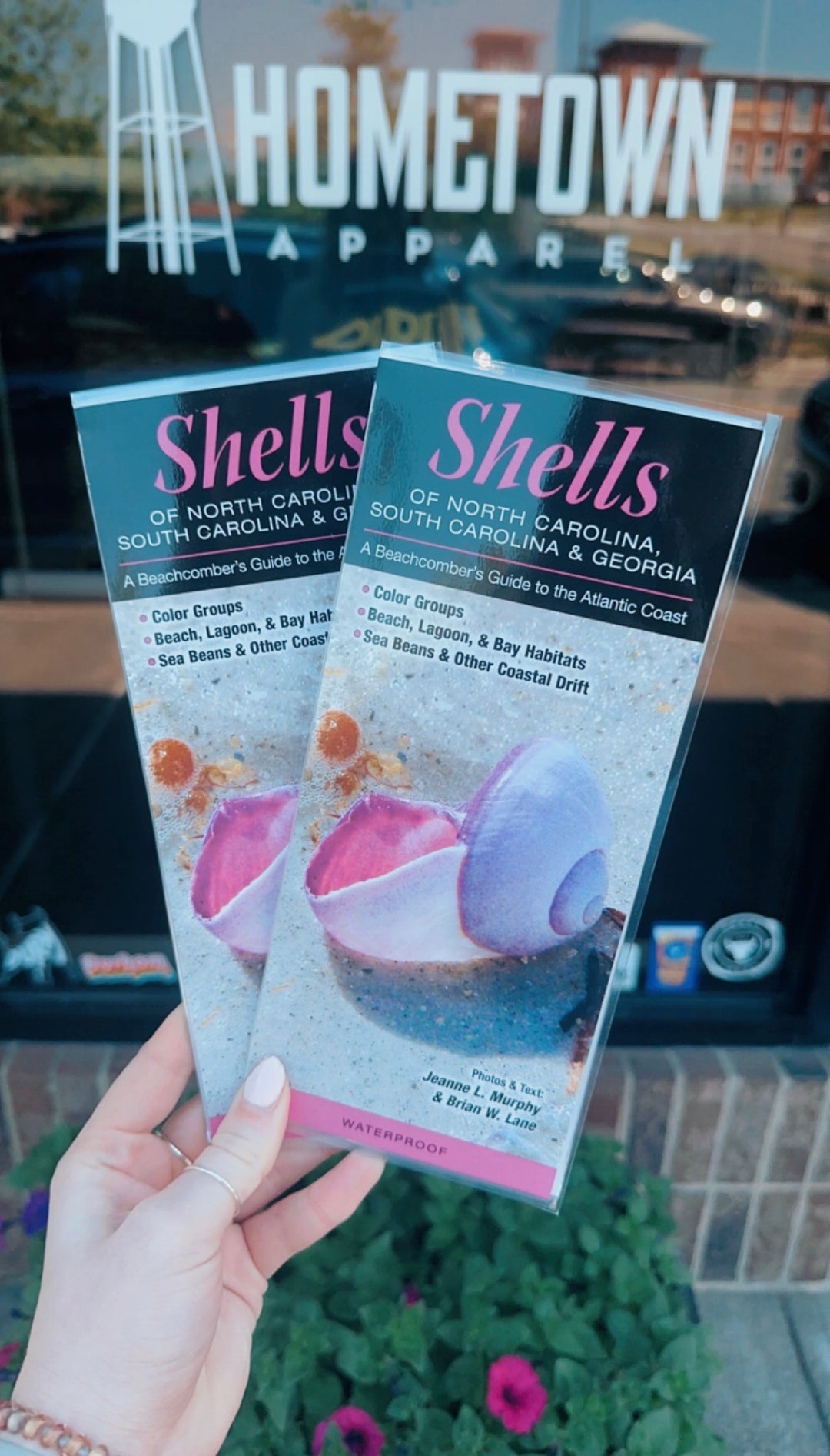 Shells of NC, SC & GA