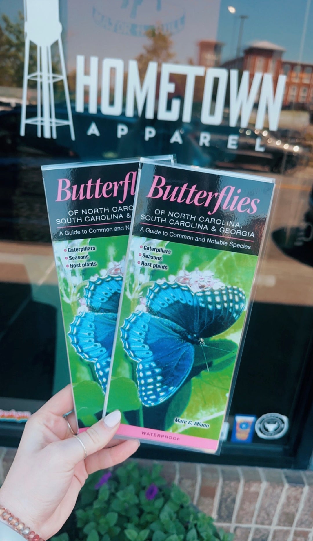 Butterflies of NC, SC & GA