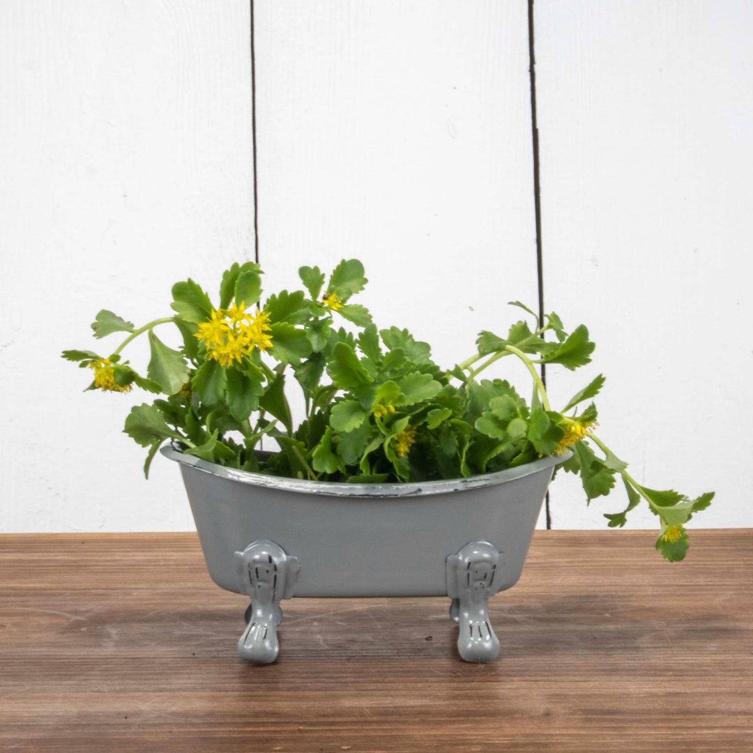 Gray Distressed Enamel Bathtub Soap Dish