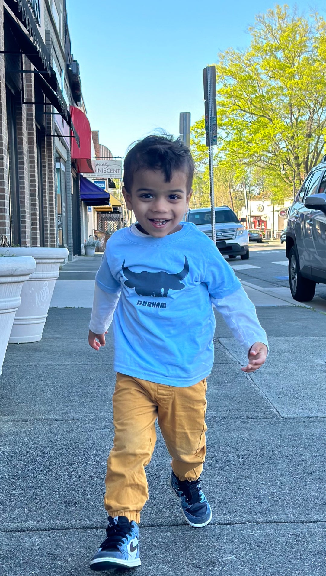 Bullhead Skyline Toddler T-Shirt #4 (Light Blue)