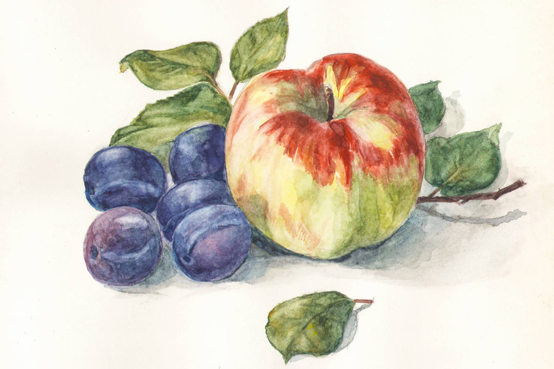 Orchard Buds - Prickly Pear, Plum, Passion Fruit, and Apple