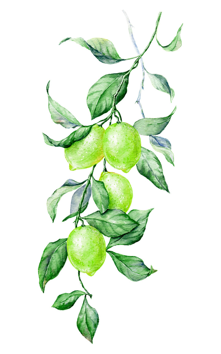 Key Lime Buds: 3oz