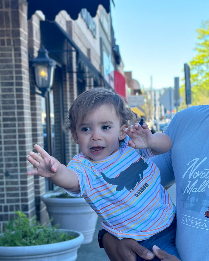 Bullhead Skyline Toddler T-Shirt #4 (Stripes)