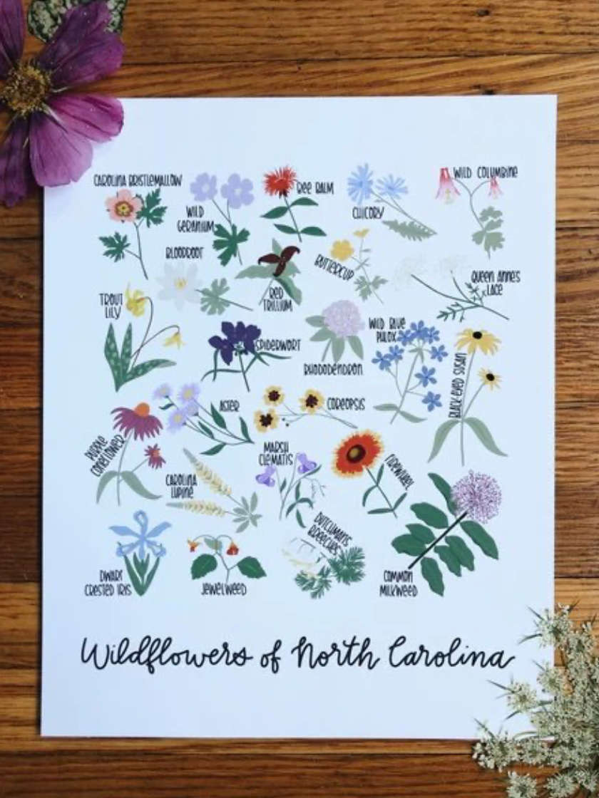 Wildflowers of NC Print
