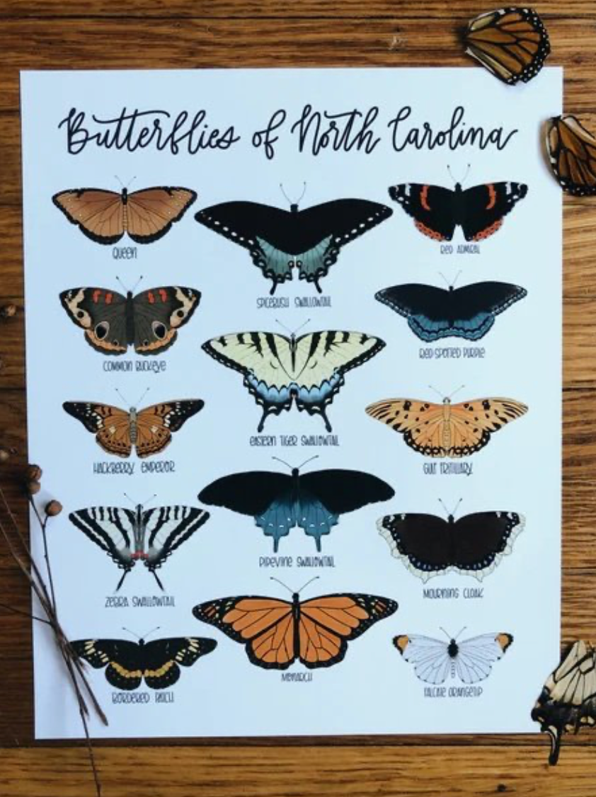 Butterflies of NC Print
