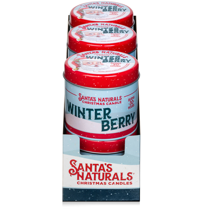 Candle in Winter Berry 9oz