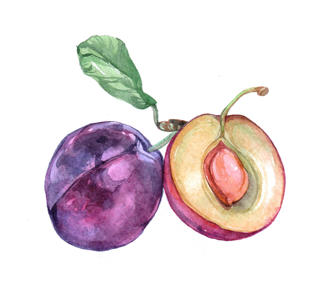 Orchard Buds - Prickly Pear, Plum, Passion Fruit, and Apple