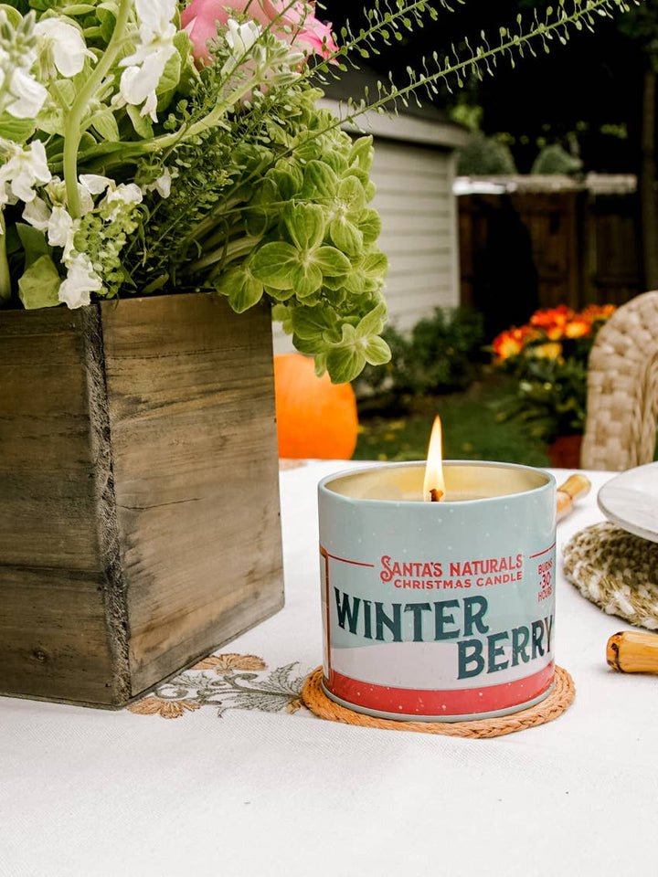 Candle in Winter Berry 9oz