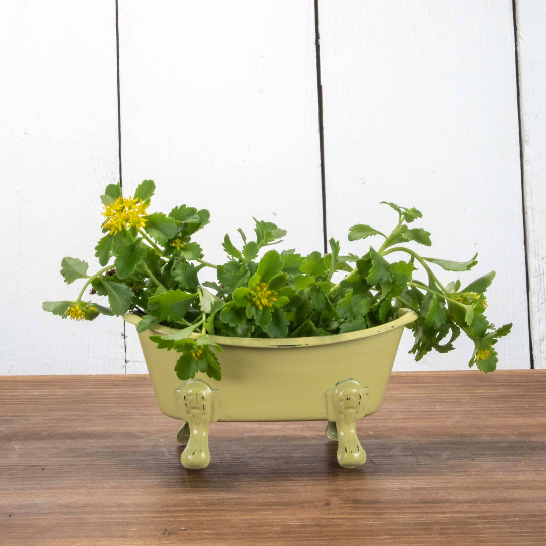 Yellow Distressed Enamel Bathtub Soap Dish