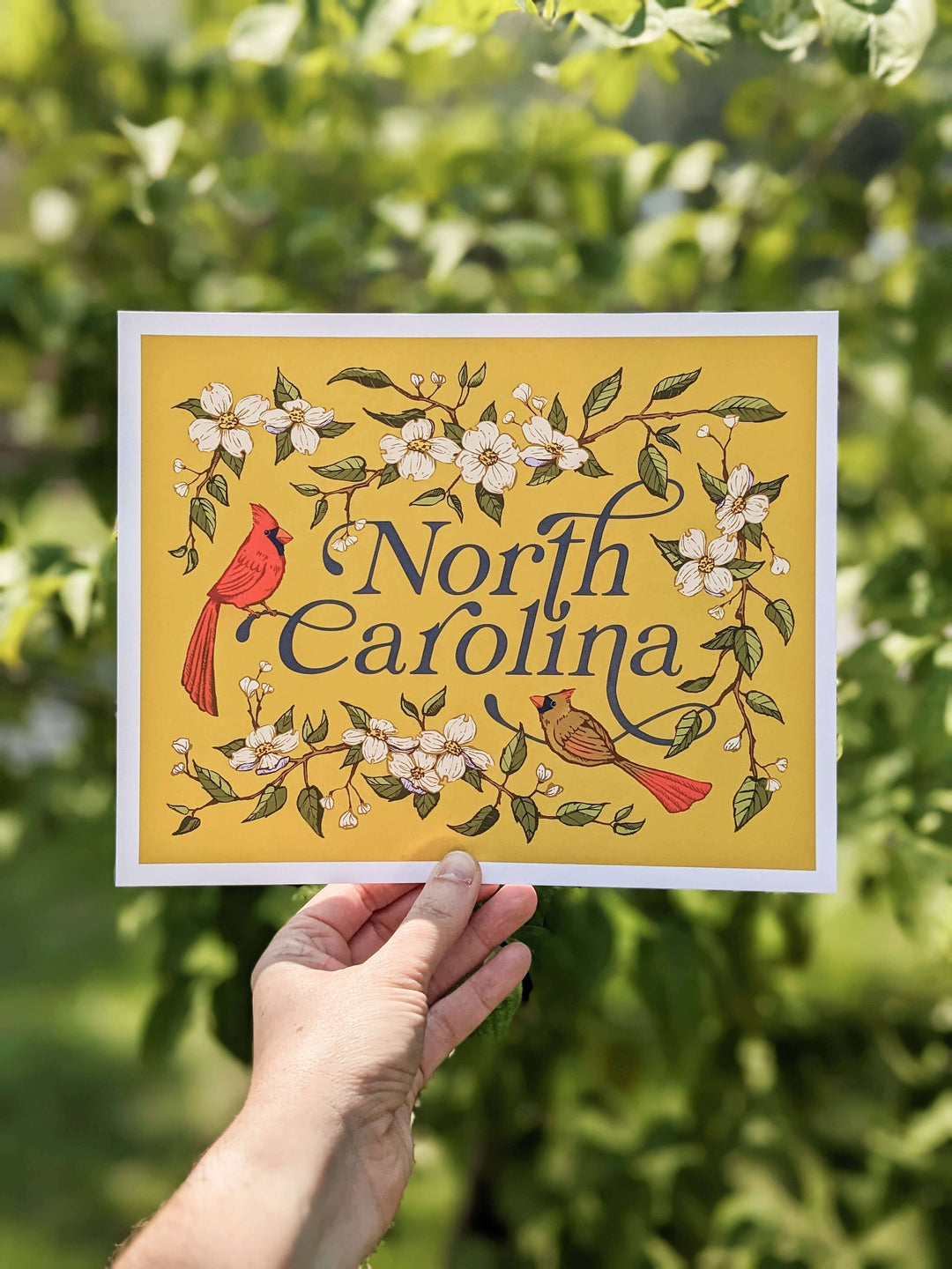 North Carolina Cardinals & Dogwood Art Print: 11x14