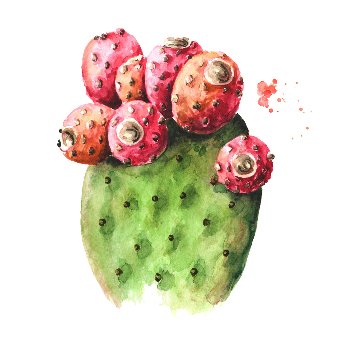 Orchard Buds - Prickly Pear, Plum, Passion Fruit, and Apple