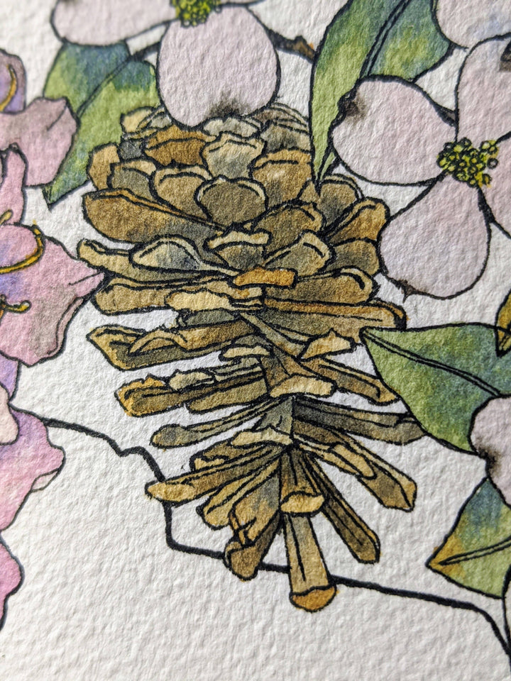North Carolina Native Plants watercolor art print: 8x10