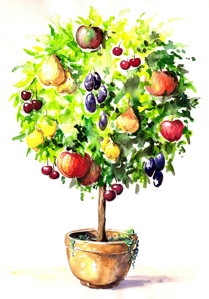 Orchard Buds - Prickly Pear, Plum, Passion Fruit, and Apple